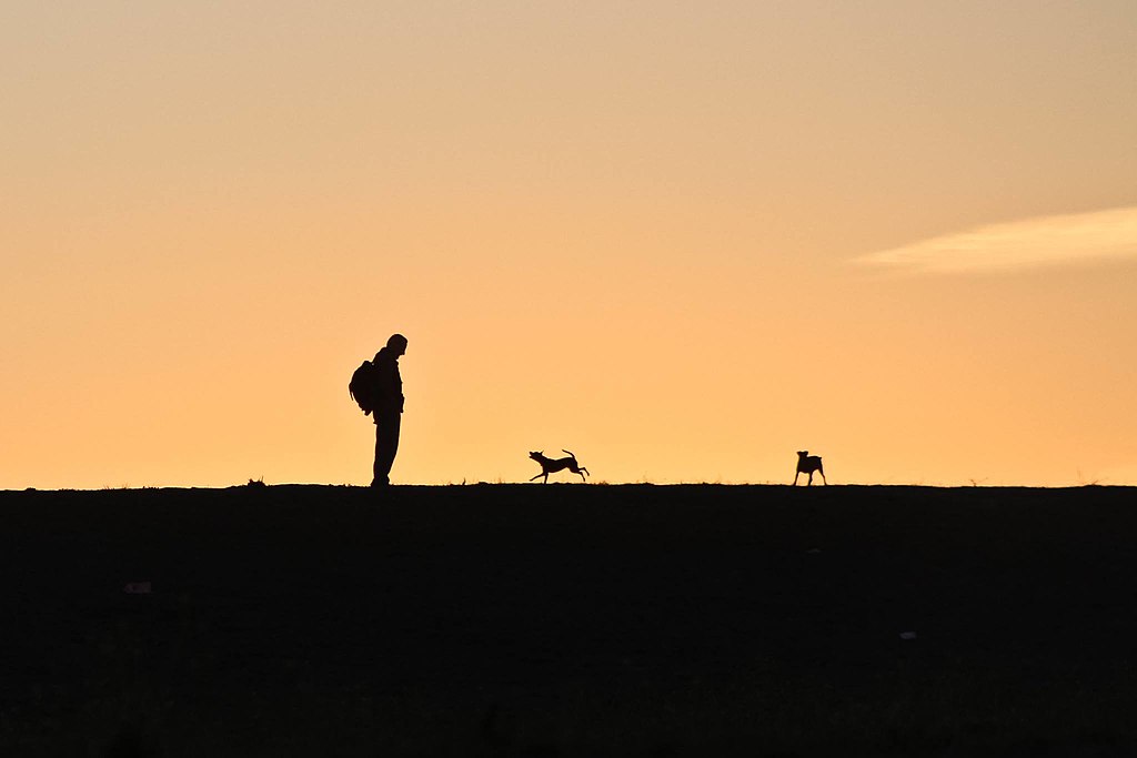 A silhouette of a person and two dogs at sunset