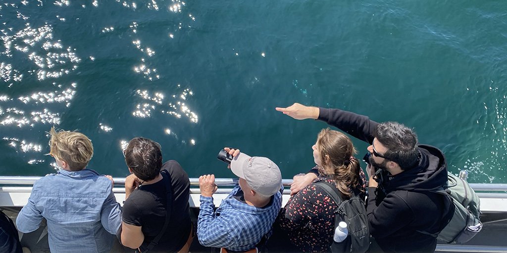 Viewed from above, fellows look out over a boat railing and point excitedly at something in the ocean but out of frame