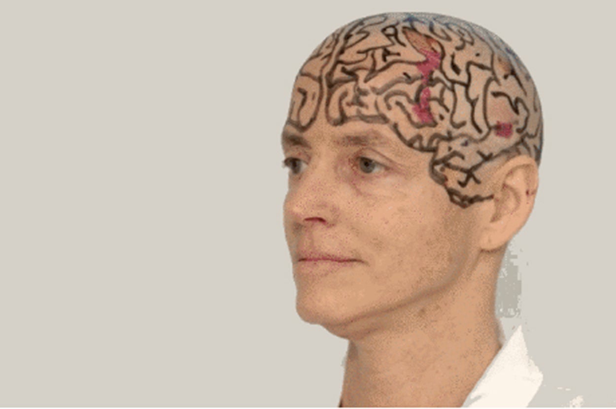 Nancy Kanwisher with the structure of the brain drawn on her shaved head